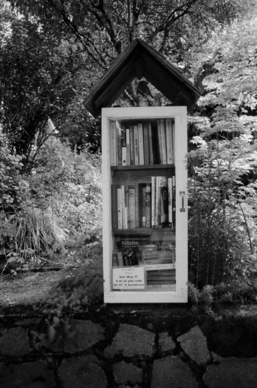 A small, outdoor free library shaped like a house stands among lush greenery. Shelves inside the glass-fronted box are filled with books, and a sign is posted on the bottom shelf.