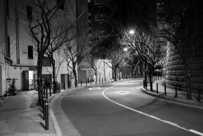 Black and white image of a quiet, curving city street at night. Bare trees line the sidewalk, and buildings rise on both sides. Streetlights cast soft glows on the pavement, and a few bicycles are parked along the left side.