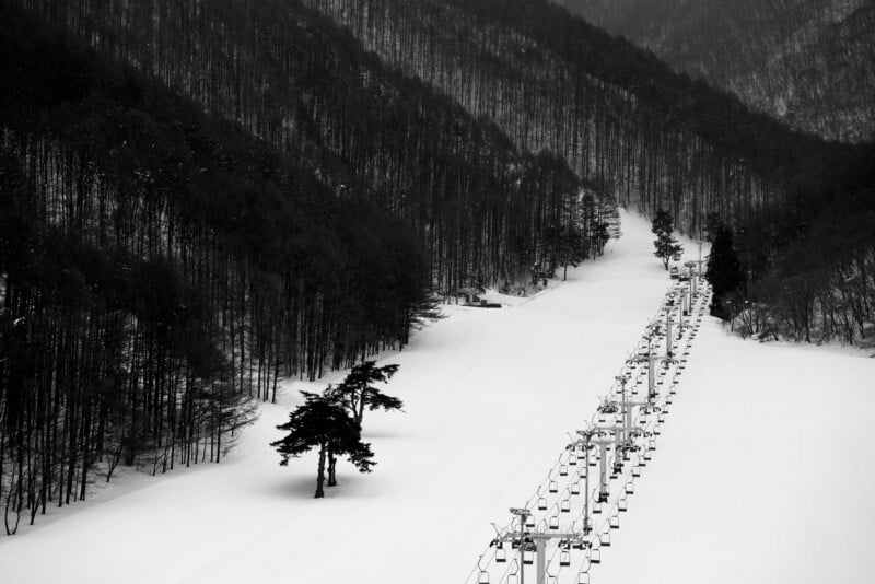 A black and white image of a snowy landscape showing a ski lift running parallel to a winding, snow-covered path through a forested mountainside. Dark trees contrast against the bright snow, and a lone tree stands near the ski lift.