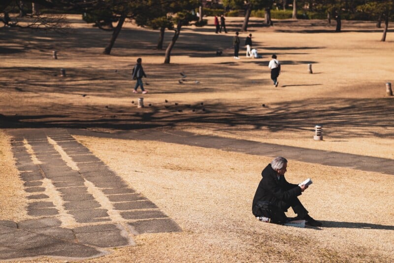 A person sits on a grassy field reading a book in a park. The scene is bathed in warm sunlight with a few scattered trees. Several people walk in the distance, enjoying the open space.