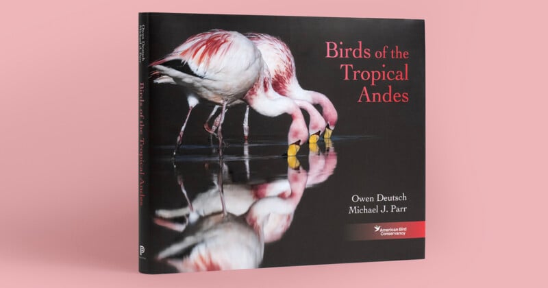 A book titled "Birds of the Tropical Andes" by Owen Deutsch and Michael J. Parr, featuring three flamingos drinking water on the cover against a black background, standing on a light pink surface.