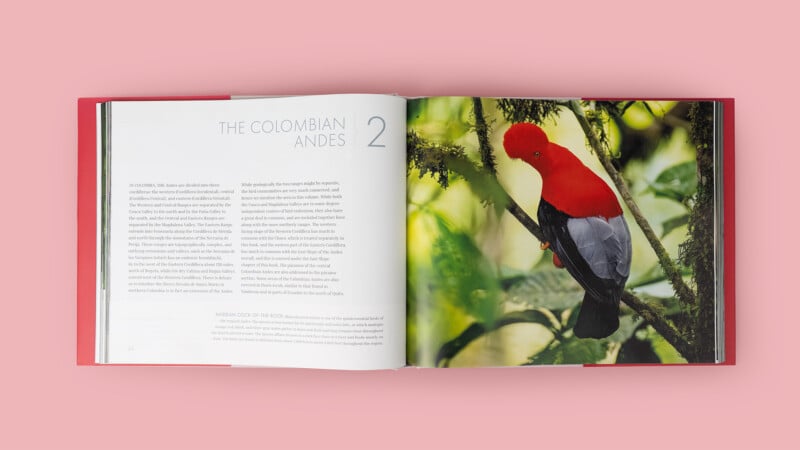 An open book on a pink background shows a chapter titled "The Colombian Andes" on the left page and a photo of a red-and-black bird perched on a branch on the right page.
