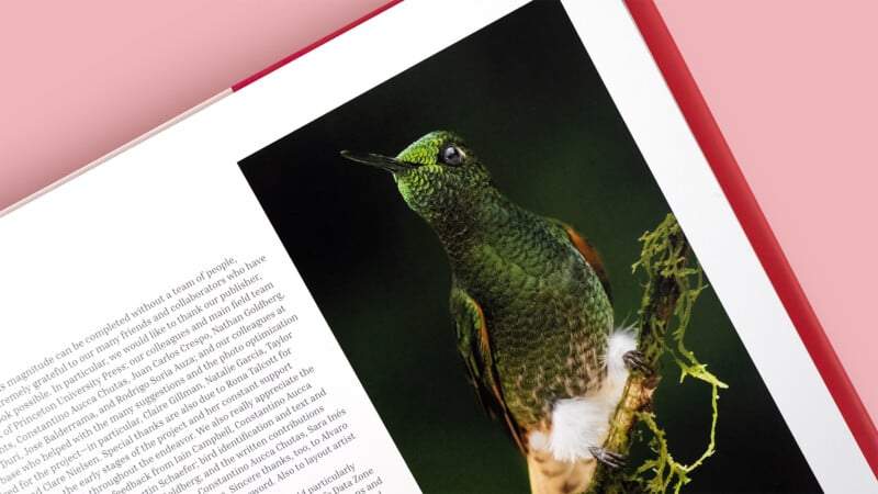 A book open to a page showing a photograph of a green hummingbird perched on a branch with moss, alongside a page of black text on a white background. The book has a red cover and lies on a pink surface.