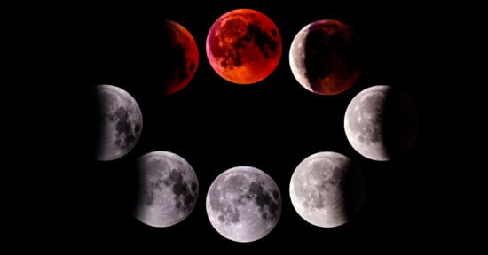 A sequence of eight moon phases during a lunar eclipse, showing transitions from a full moon to total lunar eclipse with a deep red hue in the center, and back to a full moon against a black background.