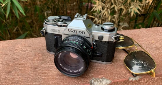 A vintage Canon AE-1 film camera sits on a stone surface next to a pair of aviator sunglasses, with green bamboo plants in the background.