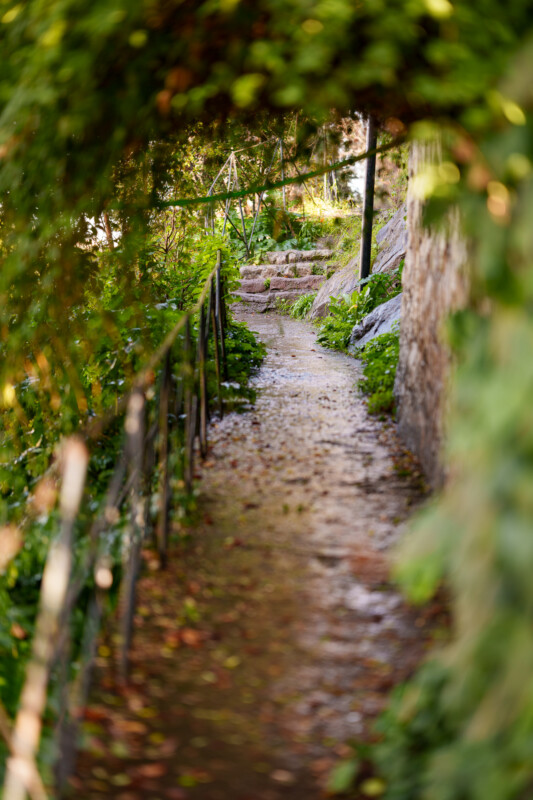 A narrow, winding path bordered by a metal railing and lush green foliage, with stone steps visible ahead and sunlight filtering through the leaves above.