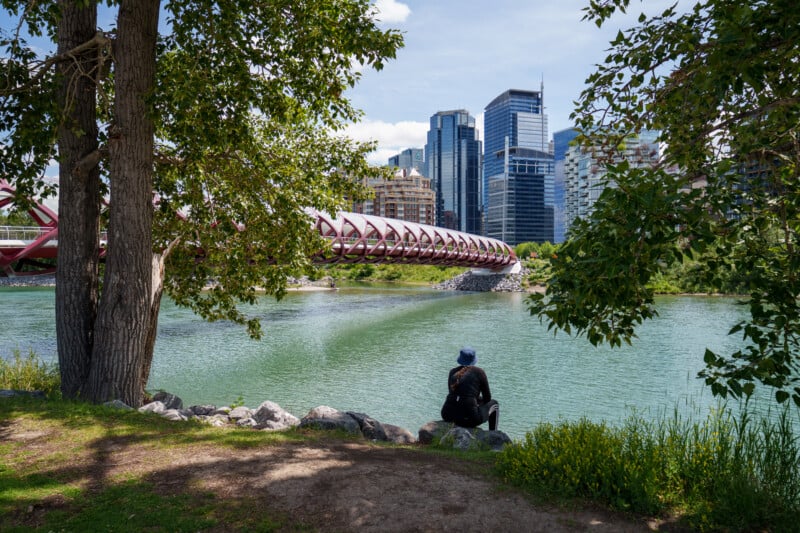 A person sits on rocks by a river, facing a modern red pedestrian bridge and city skyscrapers, surrounded by green trees on a sunny day.