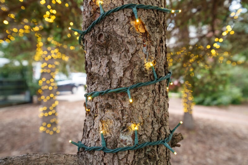 Close-up of a tree trunk wrapped with green string lights, glowing with warm yellow bulbs. Blurred background shows more trees and lights, creating a festive outdoor atmosphere.