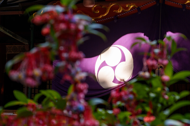 Close-up view of vibrant red and pink flowers in the foreground, with a purple background featuring a large, white circular emblem in the center. The design is framed by ornate red and gold elements at the top.