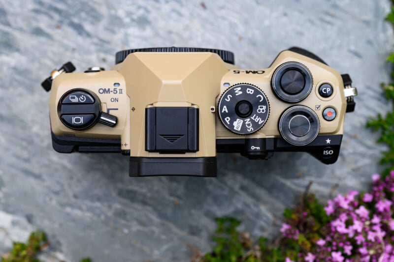 A beige Olympus OM-5 camera viewed from above, showing dials, buttons, and controls, placed on a stone surface with small pink flowers nearby.