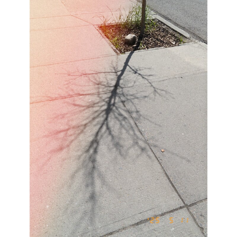 A leafless tree casts a shadow across a sidewalk on a sunny day, with a small patch of grass around its base and a faint light leak effect on the photo. A date stamp in yellow reads "25 5 11.