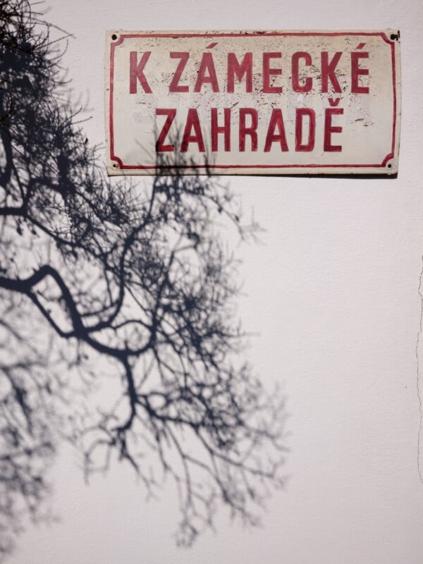 A sign with red lettering reads "K ZÁMECKÉ ZAHRADĚ" on a white wall. To the left, a shadow of tree branches is cast on the wall, creating an intricate pattern.