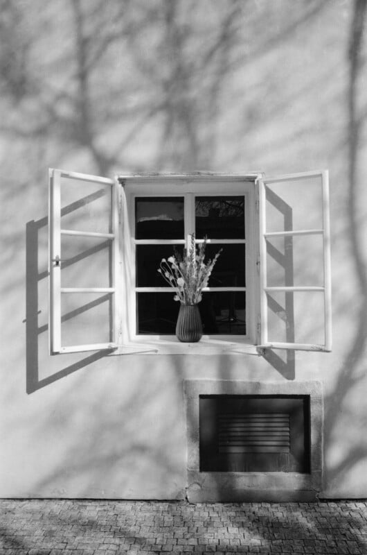 A black and white photo of a building’s exterior wall with an open window. A vase with flowers sits on the windowsill. Shadows of tree branches are cast on the wall. There is a small, vented opening below the window.