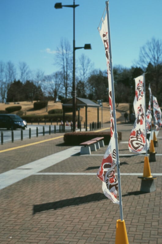 Colorful flags attached to yellow cones line a paved walkway in a park on a sunny day. Leafless trees, parked cars, and streetlights are visible in the background under a clear blue sky.