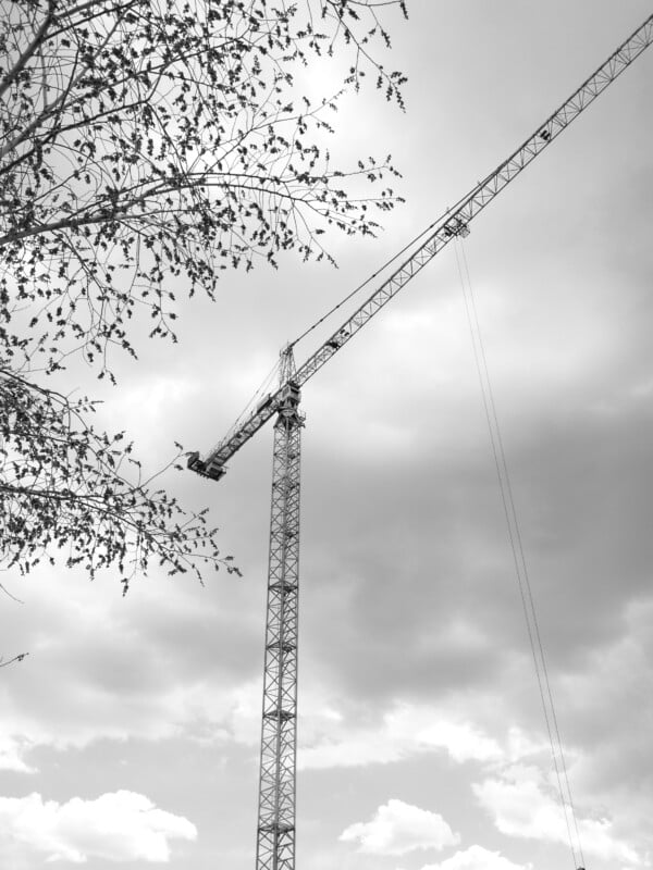 A tall construction crane stands against a cloudy sky, with tree branches and leaves partially visible in the foreground on the left side of the image.