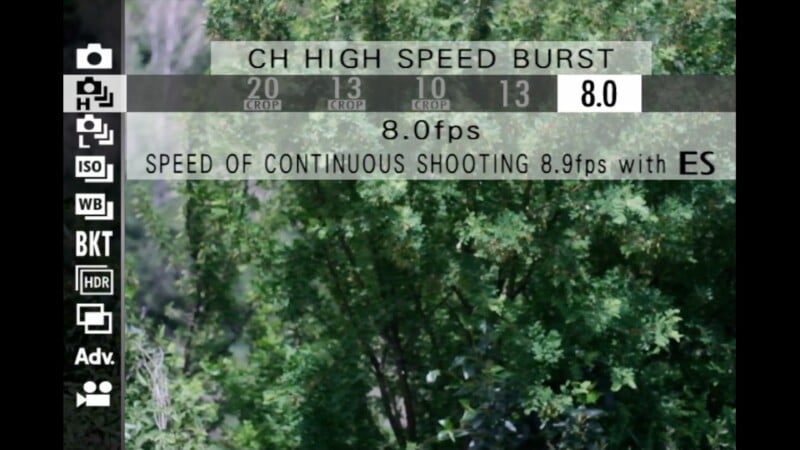 Camera screen displaying "CH HIGH SPEED BURST" mode with a speed of 8.0 fps for continuous shooting, overlaying an image of dense green foliage in the background.