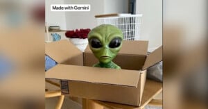 A green alien figure with large black eyes sits inside an open cardboard box on a table in a home setting.