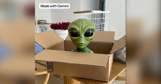 A green alien figure with large black eyes sits inside an open cardboard box on a table in a home setting.