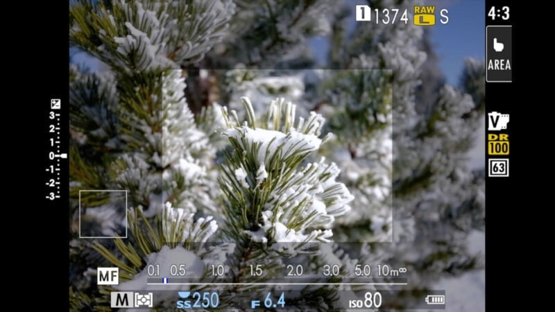 Close-up of snow-covered pine branches viewed through a camera's digital viewfinder. The screen displays various camera settings, including ISO 80, shutter speed 1/250, and aperture f/6.4, with a focus rectangle over the branches.