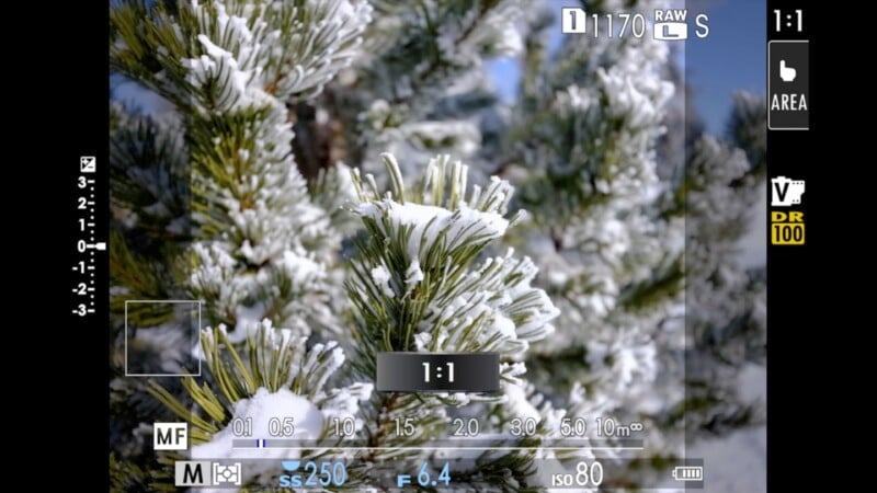 Close-up of snow-covered pine branches, as seen through a camera viewfinder. The screen displays various settings including focus mode, ISO, shutter speed, and aspect ratio. The image captures a clear, wintry detail of the needles and snow.