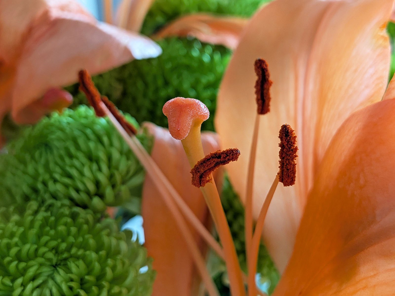 Close-up of the center of an orange lily flower with visible stamens and pistil, surrounded by vibrant green foliage in the background.
