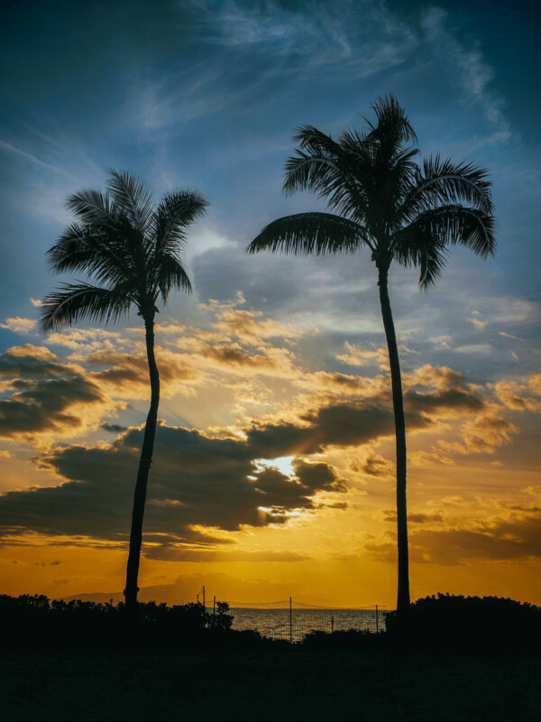 Two tall palm trees stand silhouetted against a dramatic sunset sky filled with golden clouds, with the sun partially hidden and the ocean visible in the background.