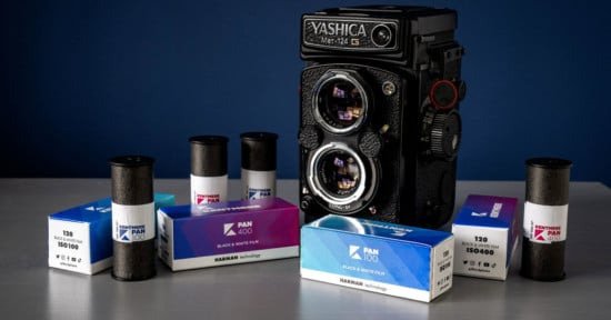 Ilford Kentmere Pan 100 and 400