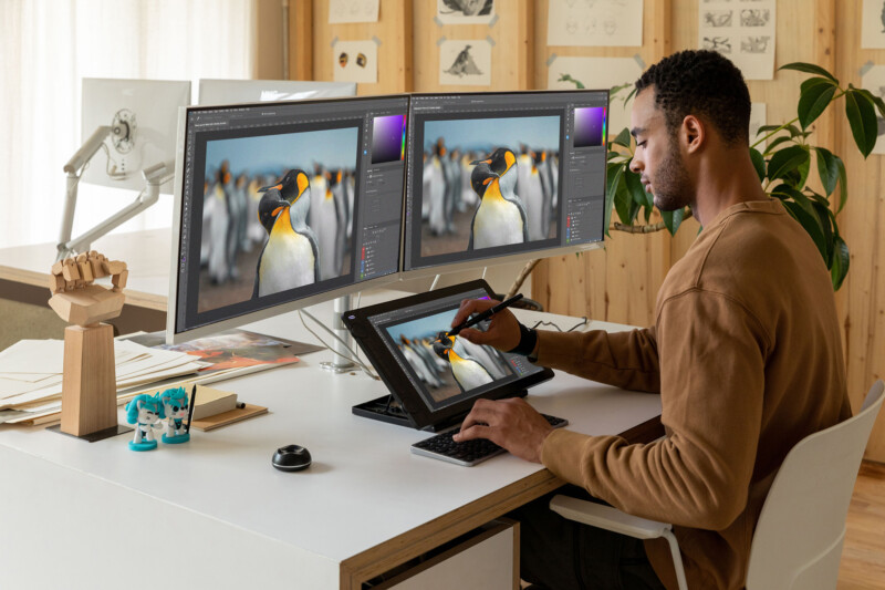 A man uses a stylus to edit a photo of penguins on a digital drawing tablet at a desk with two large monitors, in a workspace with plants, sketches, and art supplies.