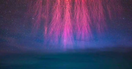 A vibrant display of red sprites in the night sky, appearing as pink and red streaks descending from the stars over a dark, cloudy horizon. The phenomenon creates a mystical and ethereal atmosphere.
