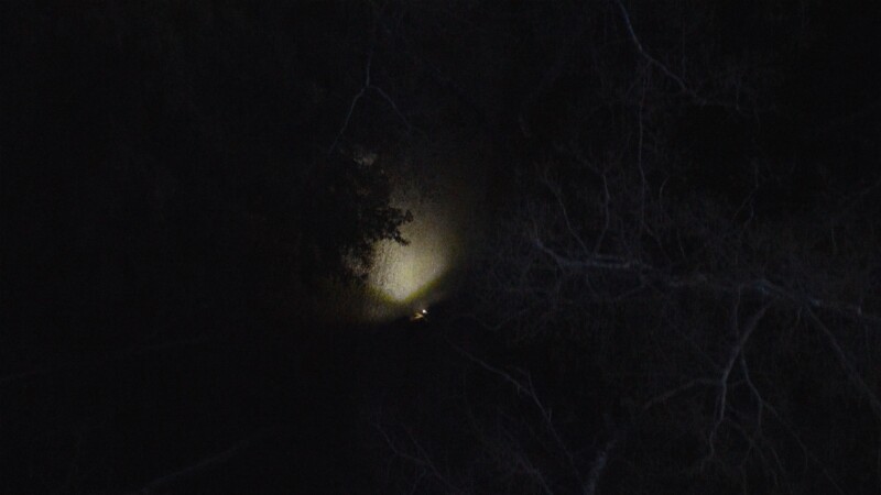 A dim light shines on a small area in a dark, dense forest at night, illuminating a patch of ground and some branches while the rest of the scene remains shadowy and indistinct.