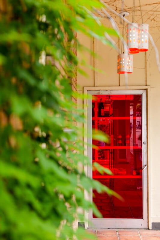 A glass door with a red tint is set in a white wall. Three white and orange hanging lanterns are above the door, and green leafy plants partially obscure the left side of the image.