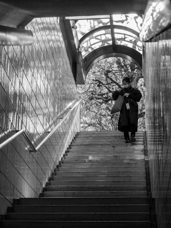 A person in a long coat walks down tiled stairs toward an underground passage, with natural light streaming through a glass canopy and trees visible outside. The scene is in black and white.
