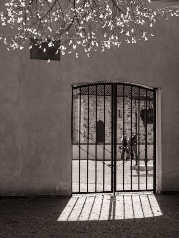Black iron gate set in a stucco wall, casting shadows on the ground. Sunlight shines through, revealing a person walking near a statue outside. Tree branches with leaves hang above, partially in view. Image is in black and white.