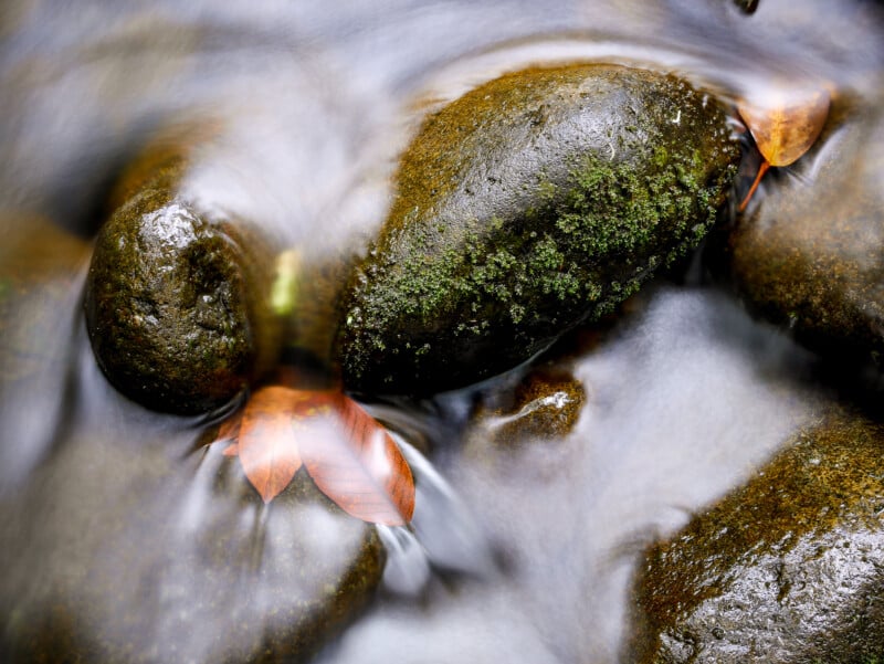 Smooth, moss-covered stones and a few fallen brown leaves resting in a gently flowing stream, with water blurring softly around the rocks.