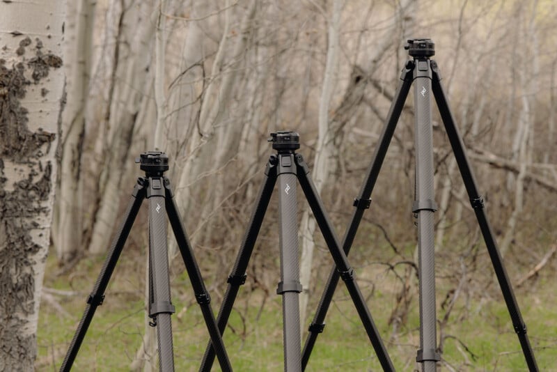 Three black camera tripods of varying heights are set up outdoors among bare trees and green grass, with a tree trunk visible on the left and a blurred forest background.