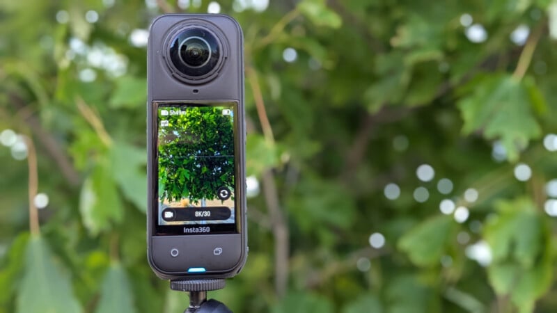 A close-up of a 360-degree action camera mounted on a tripod, capturing a leafy green tree in its display screen. The background is blurred greenery.