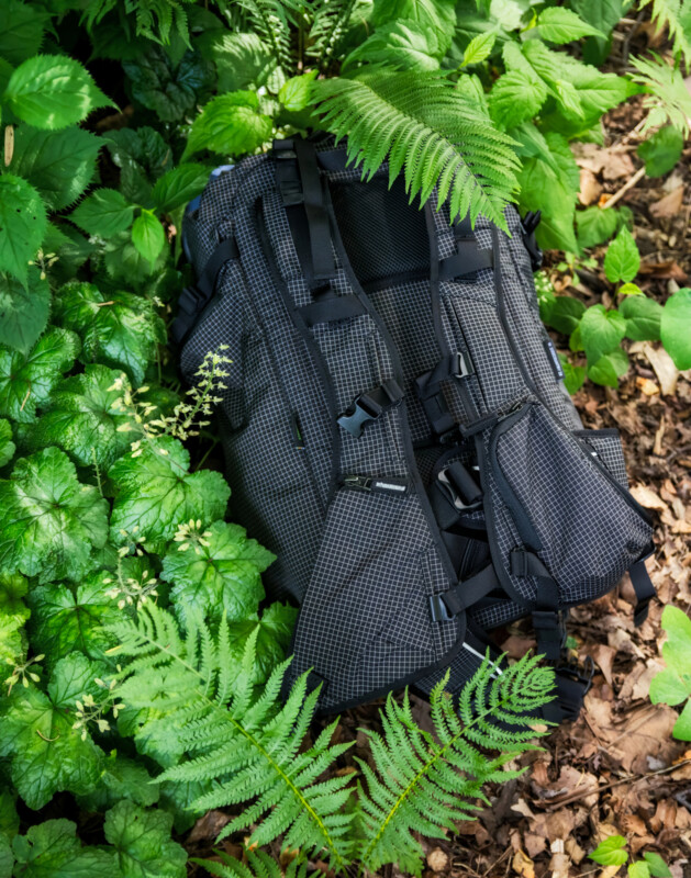 A black and gray hiking backpack lies on the ground among green ferns and leafy plants in a forest setting, partially covered by foliage.