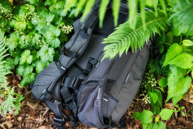 A black and gray backpack with checkered pattern lies on the ground among green plants and ferns in a natural, leafy setting.