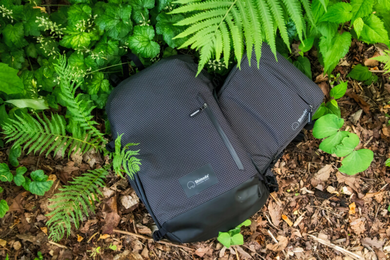 A black and gray backpack with a small front zipper pocket lies on the forest floor, surrounded by green ferns and leafy plants.