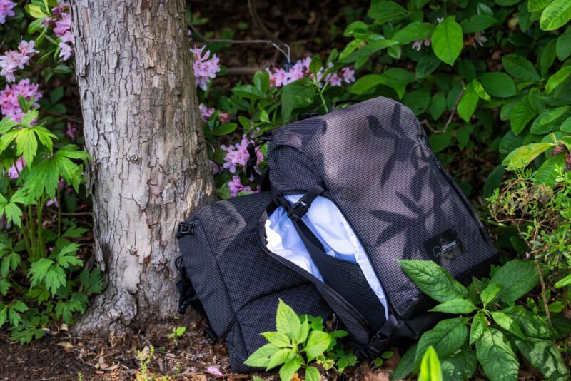 A dark-colored backpack sits on the ground next to a tree trunk, surrounded by green plants and pink flowers in a garden or natural setting.