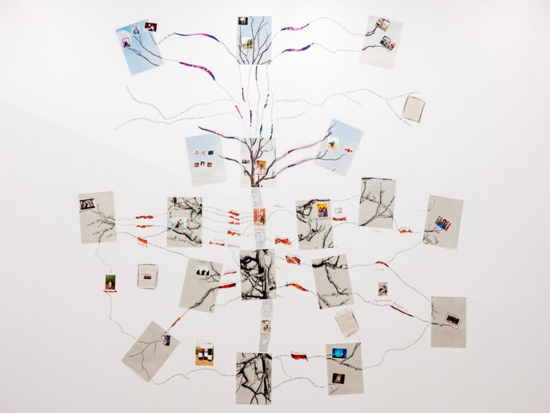 A wall display of photographs, papers, drawings, and colored threads arranged in a branching, tree-like pattern, connecting the various items and creating a visual web across a white background.
